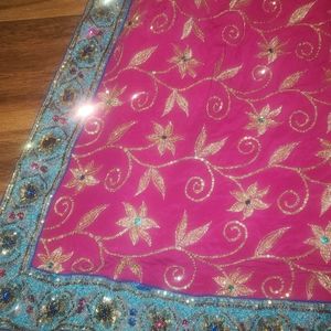 Indian Bollywood saree